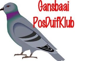  Gansbaai Posduifklub