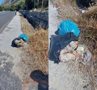 Think Before You Dump Garbage