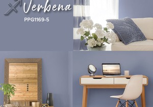 Violet Verbena Colour