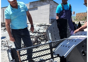 Endangered Penguins Released Back On Dyer Island