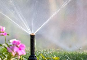 Irrigation Systems For Efficient Summer Watering