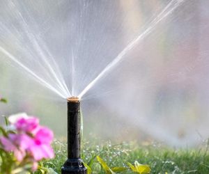 Irrigation Systems For Efficient Summer Watering