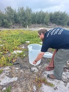 Watch Out For Snakes