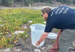 Watch Out For Snakes