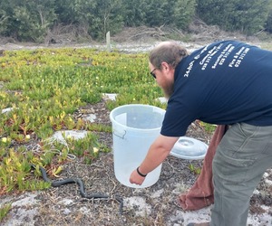 Watch Out For Snakes