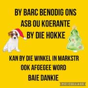 BARC Animal Welfare Needs Old Newspapers