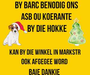 BARC Animal Welfare Needs Old Newspapers