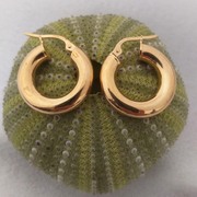 9ct Yellow Gold Hoops