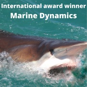 Next Marine Dynamics Shark Cage Diving Trip: 6 December 2022