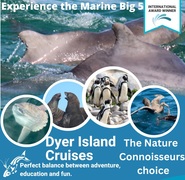 Next Dyer Island Marine Big 5 Tour: 9 December 2022