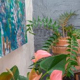 Plant Interest - Saxon Lodge - Xplorio™ Gansbaai 