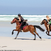 Horse Riding - Saxon Lodge - Xplorio™ Gansbaai 