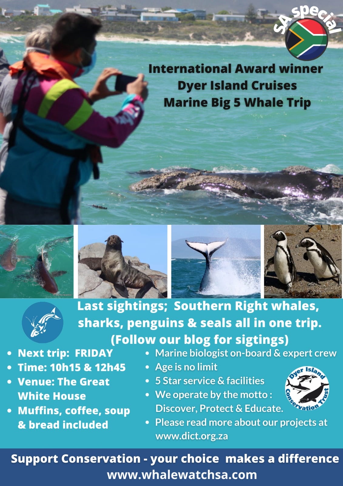 dyer island cruises marine big 5