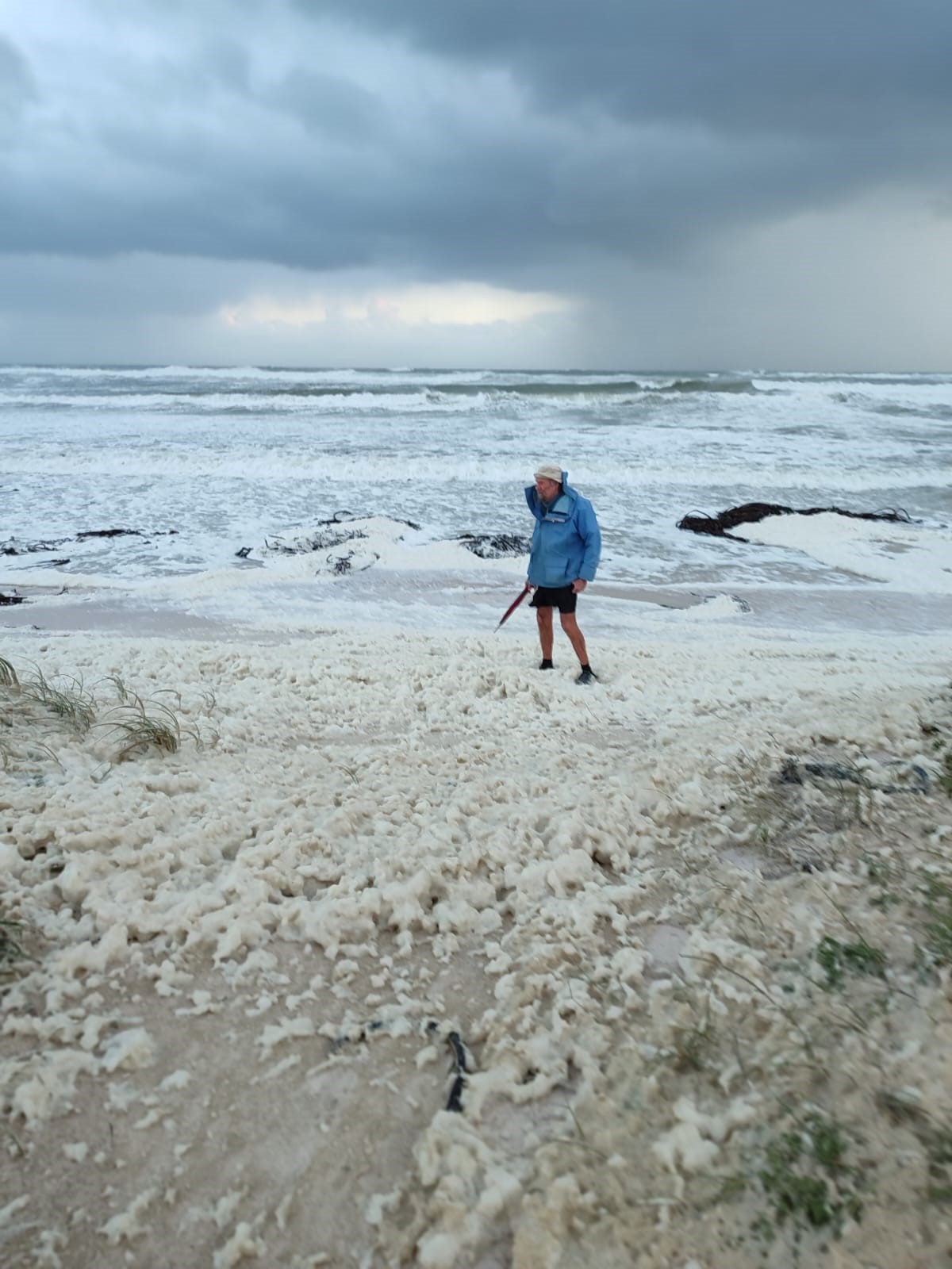 Sea foam - Wikipedia