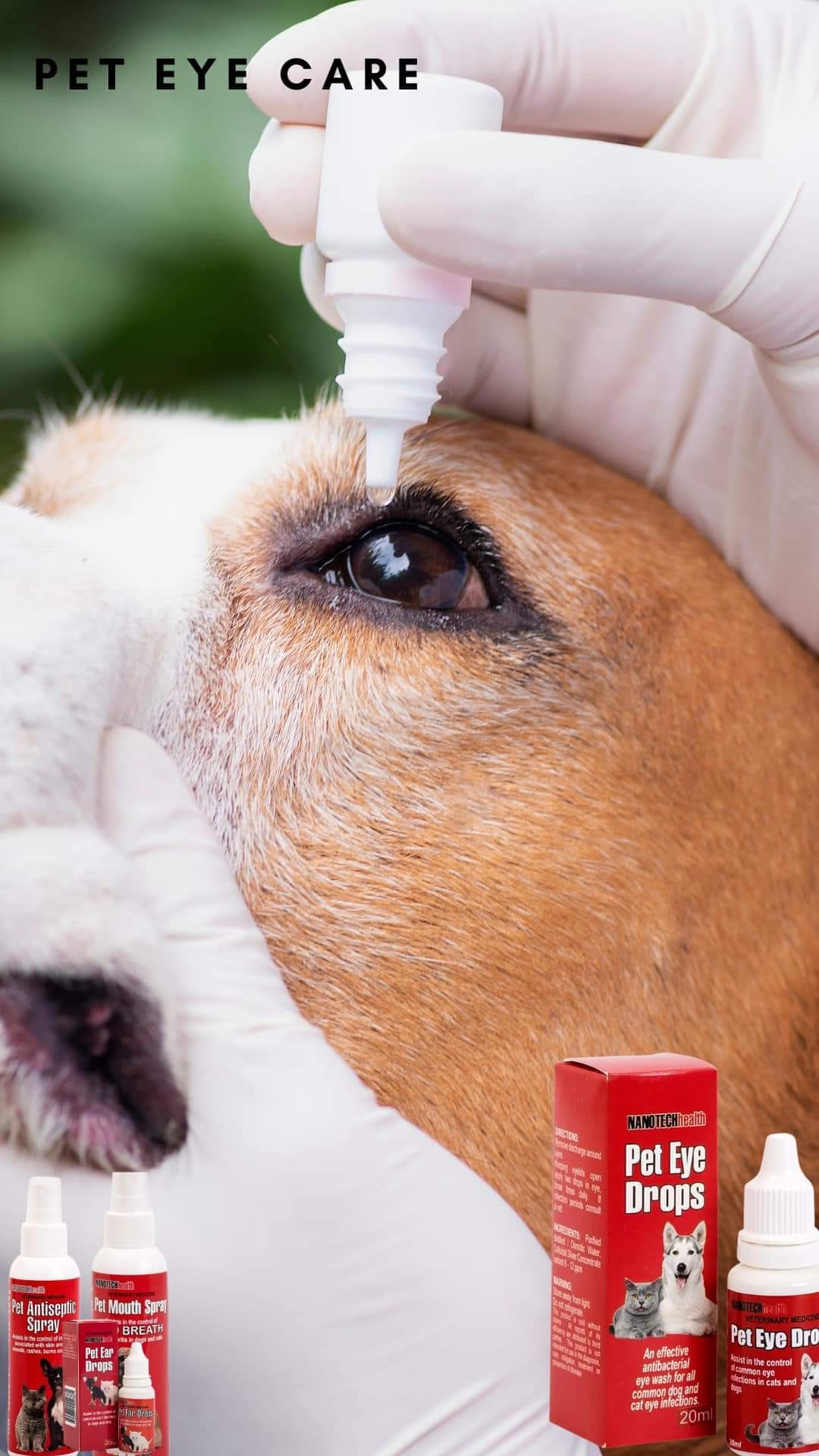 Colloidal silver for clearance eye infection in dogs