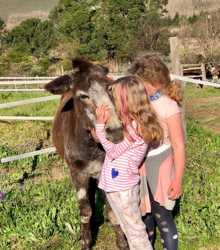 image left